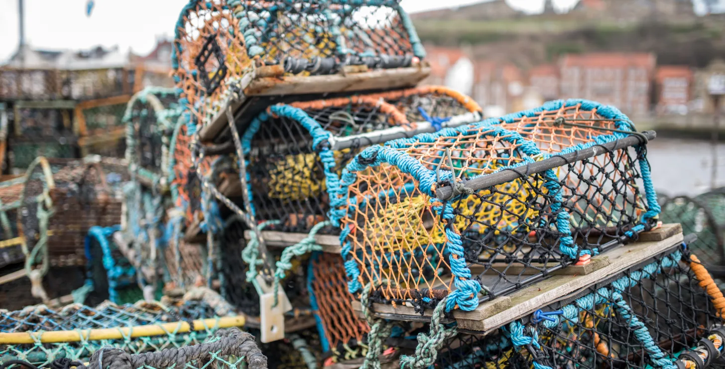 Stacked lobster traps made of wood, metal, and netting sit on a dock, with blurred buildings and a hill visible in the background—evoking the steadfast vigilance of a San Jose IRS whistleblower lawyer dedicated to uncovering hidden truths beneath complex layers.