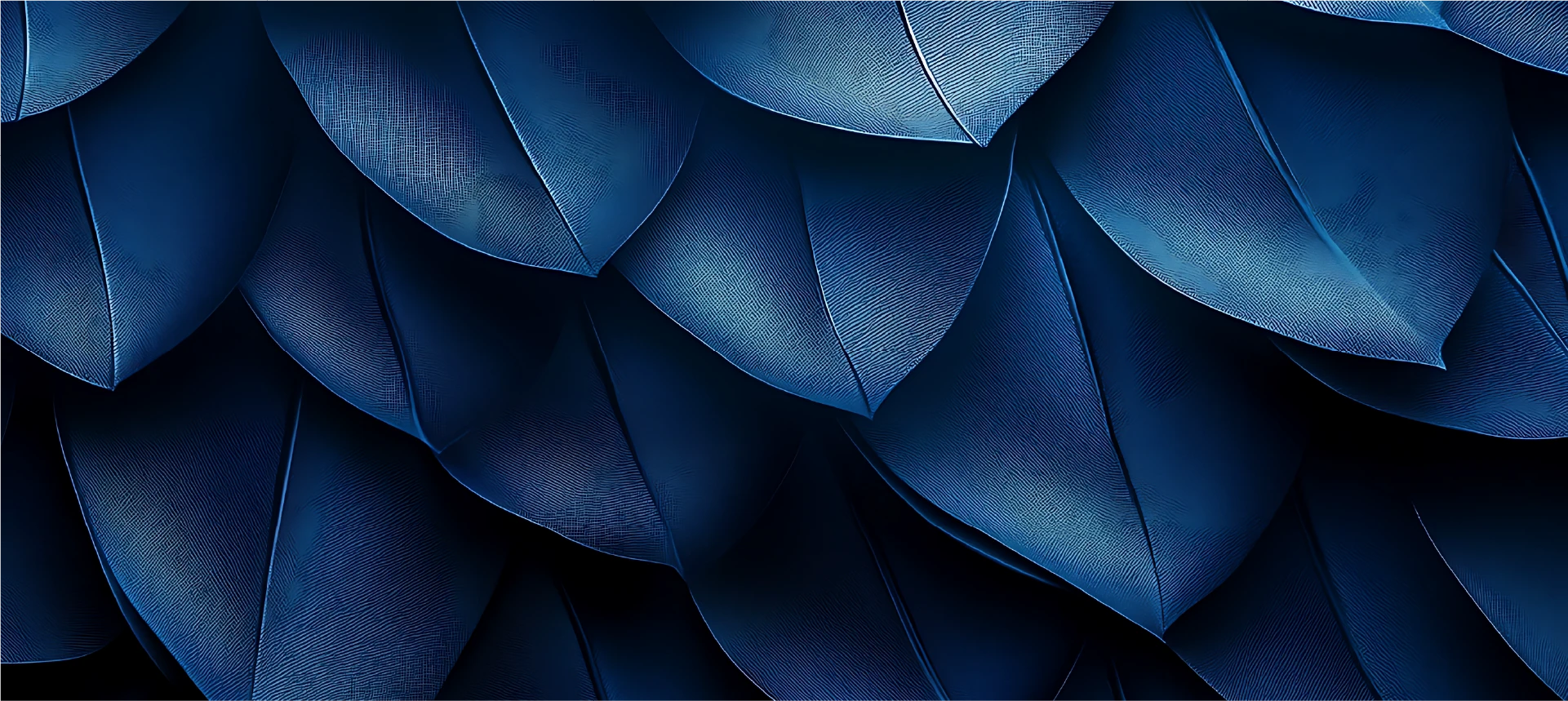 A close-up image of overlapping, textured blue feathers, arranged in a layered pattern—reminiscent of the meticulous attention to detail exhibited by a San Francisco healthcare fraud lawyer examining complex cases.
